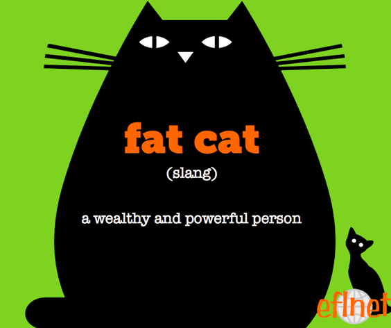 Fat Cat