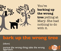 Bark Up the Wrong Tree