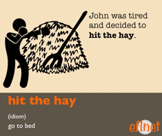 Hit the Hay