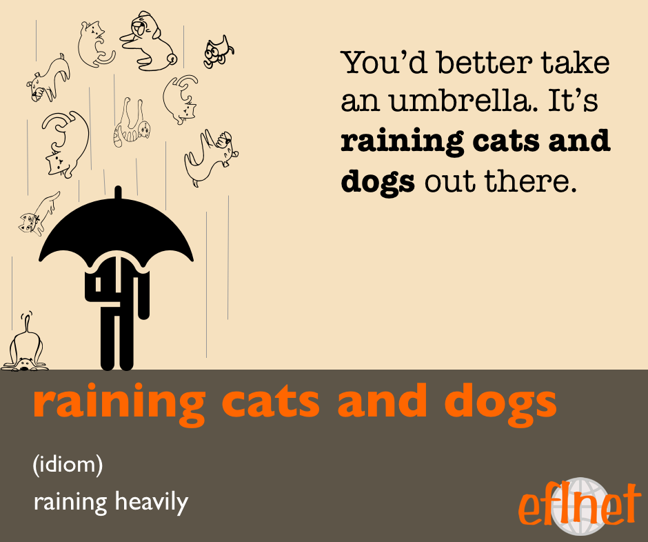 raining cats and dogs