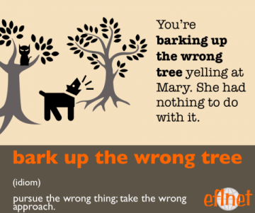 bark up the wrong tree